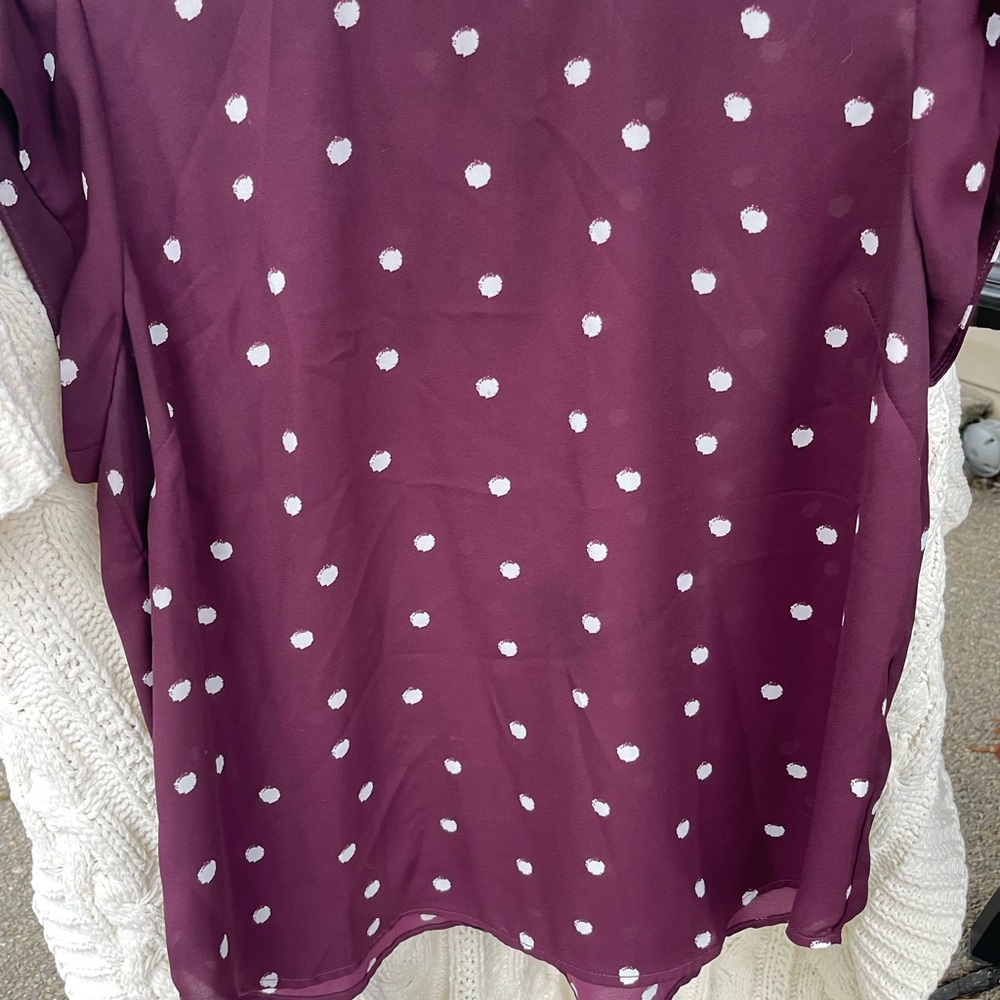 Montgomery Post Polka Dot Women's Top